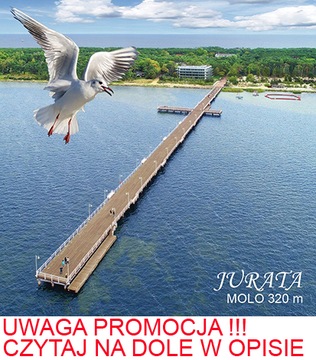MAGNES NA LODÓWKĘ 3D JURATA MOLO