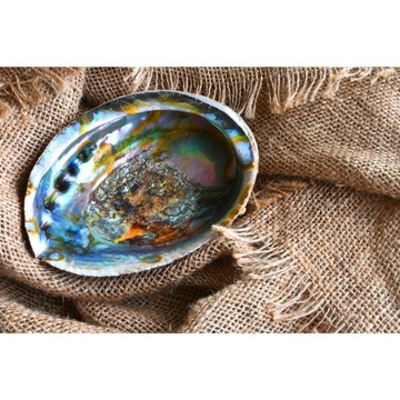 Подставка для благовоний Ароматическая палочка для морского ушка Пало Санто, размер M