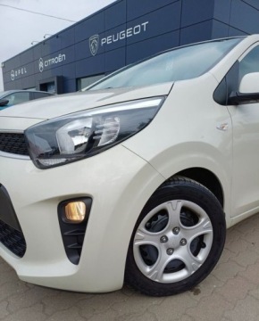 Kia Picanto III Hatchback 5d Facelifting 1.2 DPI 84KM 2023 Kia Picanto 66 1.2 M 84 KM I wl. GWARANCJA 1.2 Benzyna 84KM, zdjęcie 9