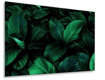 Panel szklany hartowany z grafiką 80 x 60 cm.