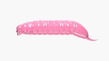 Guma Libra Lures Goliath 45mm (bezzapachowe) 017