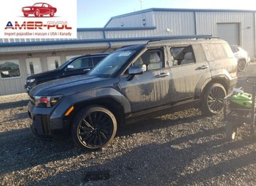 Hyundai Santa Fe V 2025 Hyundai Santa Fe Calligraphy 2025 2.5l 2.5 Benzyna 277KM