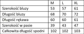 ASIA COLLECTION КОМПЛЕКТ МУЖСКОЙ ВЕЛЮРОВОЙ СПОРТИВНОЙ СПОРТИВНОСТИ POLISH PRODUCT M