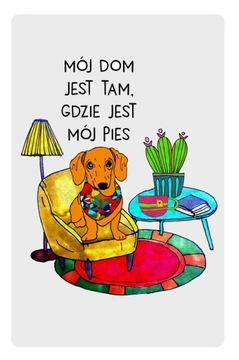 Magnes mój dom jest tam gdzie pies jamnik jamniki
