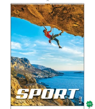 Kalendarz Ścienny wieloplanszowy Sport 2025 WP136 Sport
