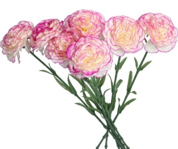 ИСКУССТВЕННЫЕ ЦВЕТЫ РАСТЕНИЯ ОДИНАРНАЯ ГВОЗДИКА