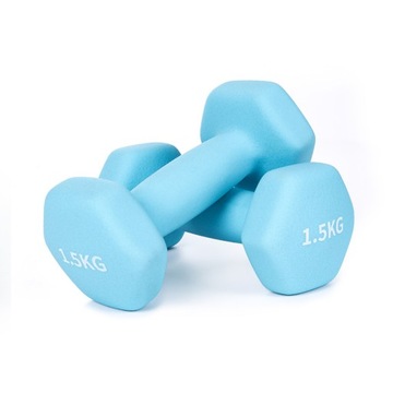 Zestaw ciężarki żeliwne hantle hantelki 2x1,5kg molti