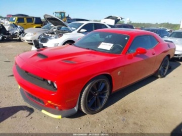 Dodge Challenger III 2019 Dodge Challenger 2019r., Scat Pack, od ubezpieczalni 6.4 Benzyna 485KM, zdjęcie 2