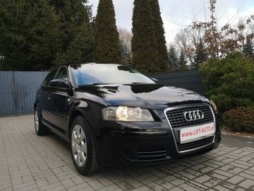 Audi A3 8P Hatchback 3d 1.9 TDI 105KM 2005 Audi A3 Sportback 1.9 TDI 105KM Klimatronik, zdjęcie 2