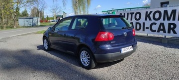 Volkswagen Golf V Hatchback 1.4 i 16V 75KM 2005 Volkswagen Golf Bezwypadkowy, zdjęcie 5