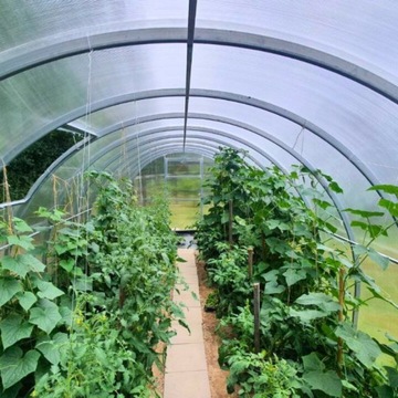 Szklarnia łukowa Afrodyta 3x8m z POLIWĘGLANU 4mm profil 40x20mm