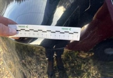 Toyota Camry IX 2023 Toyota Camry Faktura VAT 2.5 Benzyna 242KM, zdjęcie 29