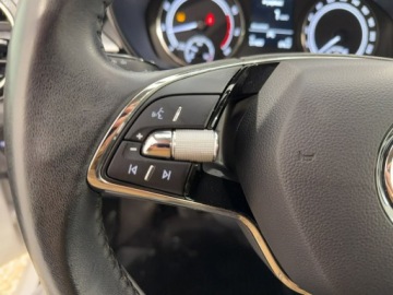 Skoda Fabia IV 1.0 MPI 80KM 2023 Škoda Fabia Skoda Fabia 1.0 Ambition, zdjęcie 12