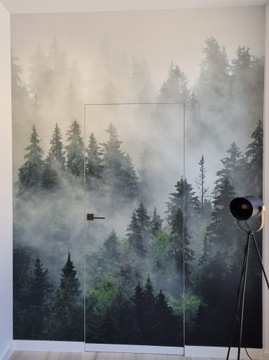 СКРЫТАЯ КАРКАС + ДВЕРЬ Sara Color L 70 внутри