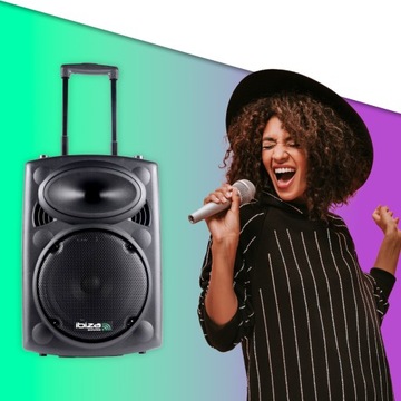 Колонка с УКВ микрофонами, аккумулятор 500Вт, чехол