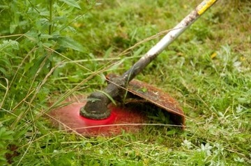 Орегон Щит 295497-0