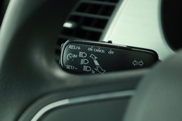 Skoda Fabia III Kombi Facelifting 1.0 TSI 95KM 2019 Skoda Fabia 1.0 TSI, Salon Polska, Serwis ASO, zdjęcie 10