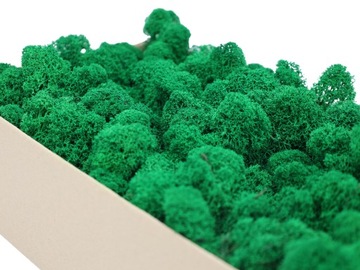 Декоративный крабовый мох 500г.