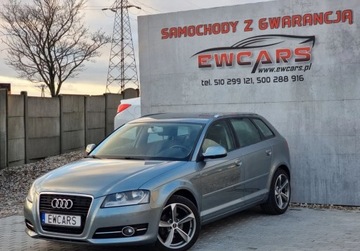 Audi A3 8P Hatchback 3d 1.4 TFSI 125KM 2010