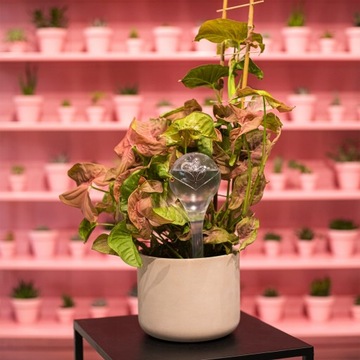 12x набор для орошения PLANT FLOWER водяные шарики для орошения цветочных горшков