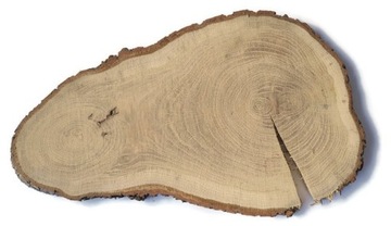 Plastry drewniane Dąb 25-32 cm pudłużne nieregularne kształty EKO