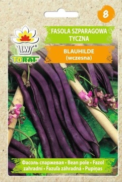 FASOLA TYCZNA BLAUHILDE FIOLETOWA nasiona
