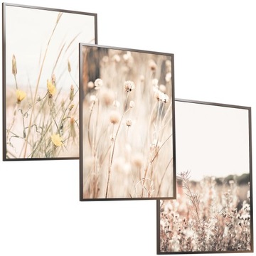 ZESTAW 50x40 RAMKA OBRAZ BOHO SUCHA TRAWA ŁĄKA