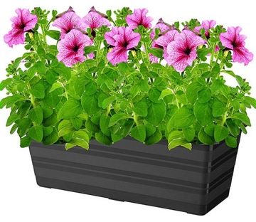 SKRZYNKA BALKONOWA DONICZKA NA KWIATY 60cm ANTRACYT