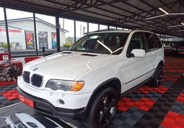 BMW X5 E53 3.0i 231KM 2001