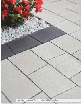 GL-Cube Vecta 8 Semmelrock Marrone Silva