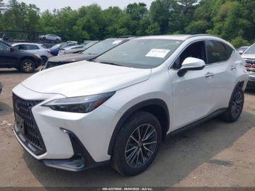 Lexus NX II 2025 Lexus NX 2025r., 4x4, 2.5L 2.5 Hybryda 240KM, zdjęcie 1