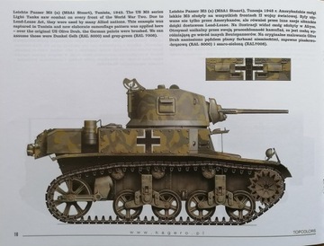 Beutepanzer - Kagero TopColors No. 41