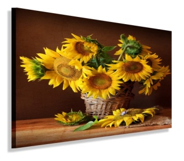 OBRAZ SŁONECZNIKI OBRAZY CANVAS 60x40