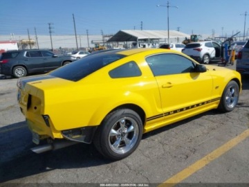 Ford Mustang V 2006 Ford Mustang GT 2006 4.6 Benzyna 300KM, zdjęcie 5