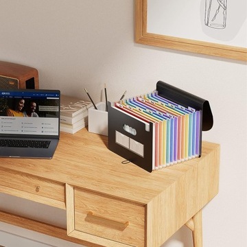 ПАПКА-ОРГАНИЗАТОР ARMONIUM ДЛЯ ДОКУМЕНТОВ A4 XL, 25 ЧАСТЕЙ