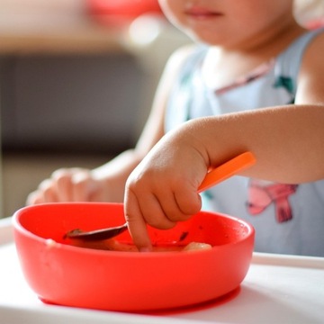 DOIDY BOWL MISECZKA TALERZYK Z PRZYSSAWKĄ SILIKONOWY
