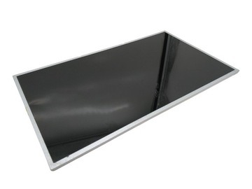 MATRYCA AU OPTRONICS B156XW02 V.2 15,6 1366x768