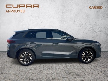 Cupra Terramar SUV 1.5 eTSI 150KM 2025 Cupra Terramar Digatal Drive/ Edge/ Intelligente/, zdjęcie 6