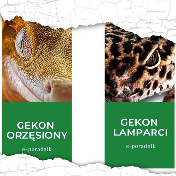 ПРОБКОВАЯ ТРУБКА ИЗ КОРОВОЙ ПРОБКИ 100 - 3000 ГРАММ