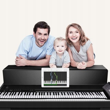 ИНТЕРФЕЙСНЫЙ КАБЕЛЬ MIDI-USB-ВХОД 2М