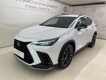 Lexus NX II 2021 Lexus NX