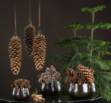 5 szt. OZDOBA SZYSZKI do stroików biała