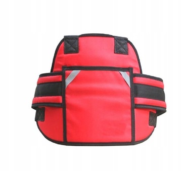 РЕМЕНЬ ДЕТСКОГО БЕЗОПАСНОСТИ И РЕГУЛЯТОР МОТОРА