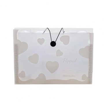Widely Use Document Folder Transparent Storage