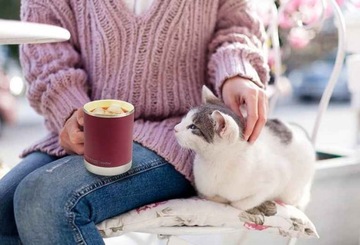 ASOBU UlLTIMATE MUG Белая термокружка 360 мл