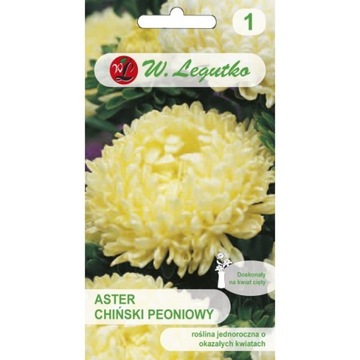 Aster chiński peoniowy żółty Legutko 1g