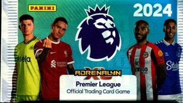 KARTY PREMIER LEAGUE ADRENALYN 1 / 2024