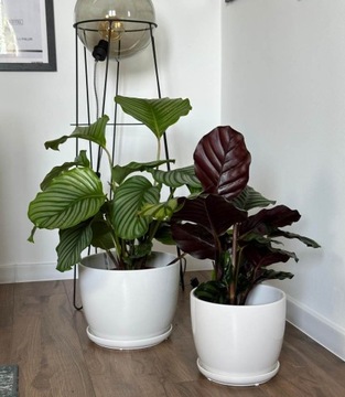 КЕРАМИЧЕСКИЙ ЦВЕТОЧНЫЙ ГОРШОК НА ПОДСТАВКЕ 15см, БЕЛЫЙ