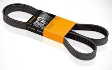КОМПЛЕКТ CONTINENTAL CTAM ГРМ+НАСОС CT1168WP1