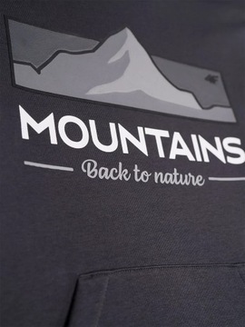 СВИТШОТ С КАПЮШОНОМ 4F ДЛЯ МАЛЬЧИКОВ AW23M634